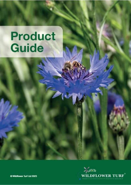 Wildflower Turf brochure cover
