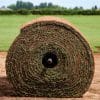 Large roll of Turf for large project turf laying. Big rolls of turf with a plastic core and turf laying machine for hire