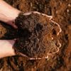 Medallion Turf & Topsoil Bundle - Image 3