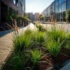 Rolawn SuDS Soil in an urban rain garden. Stormwater mitigation, filtration and planting media