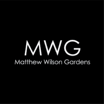 Matthew Wilson