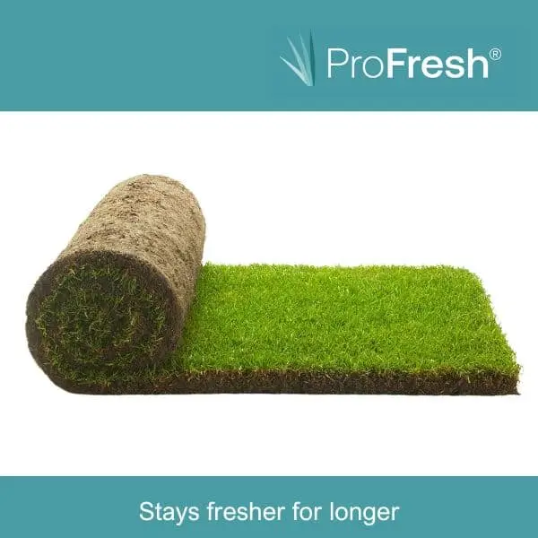 Medallion® Turf - Image 5