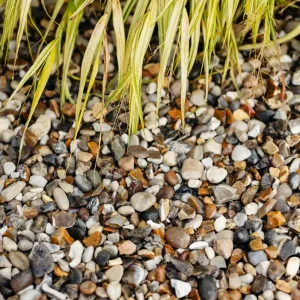 Moonstone Chippings 20mm Bulk Bag
