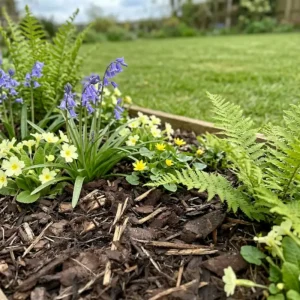 Bark Mulch Handy Bags (60L)