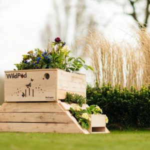 WildPod