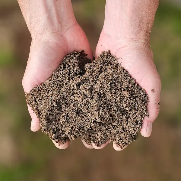 Fine top dressing for lawn repair and maintenance